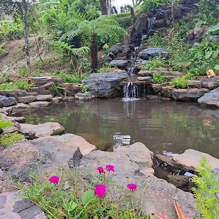 Mayura Bali Villa Munduk Eksteriør billede