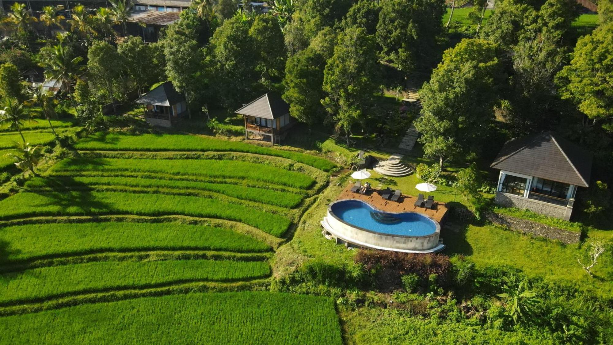 Mayura Bali Villa Munduk Eksteriør billede