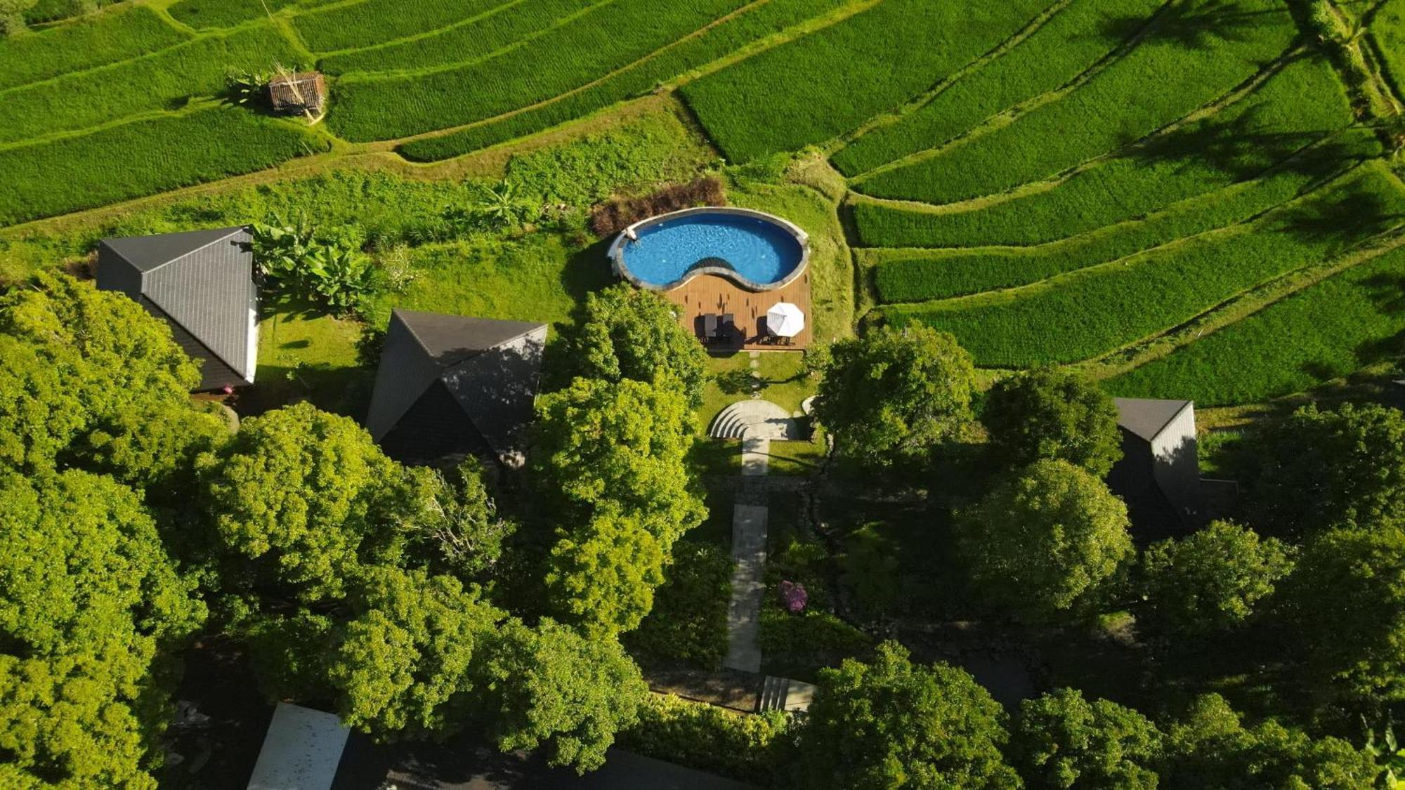 Mayura Bali Villa Munduk Eksteriør billede