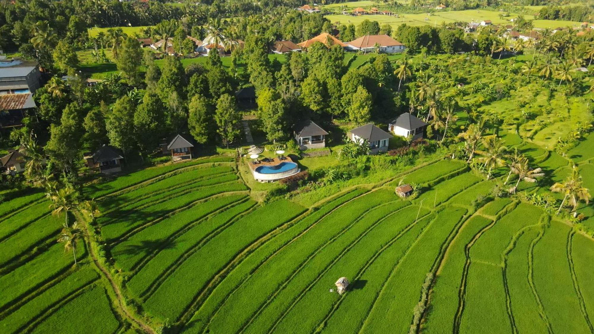 Mayura Bali Villa Munduk Eksteriør billede