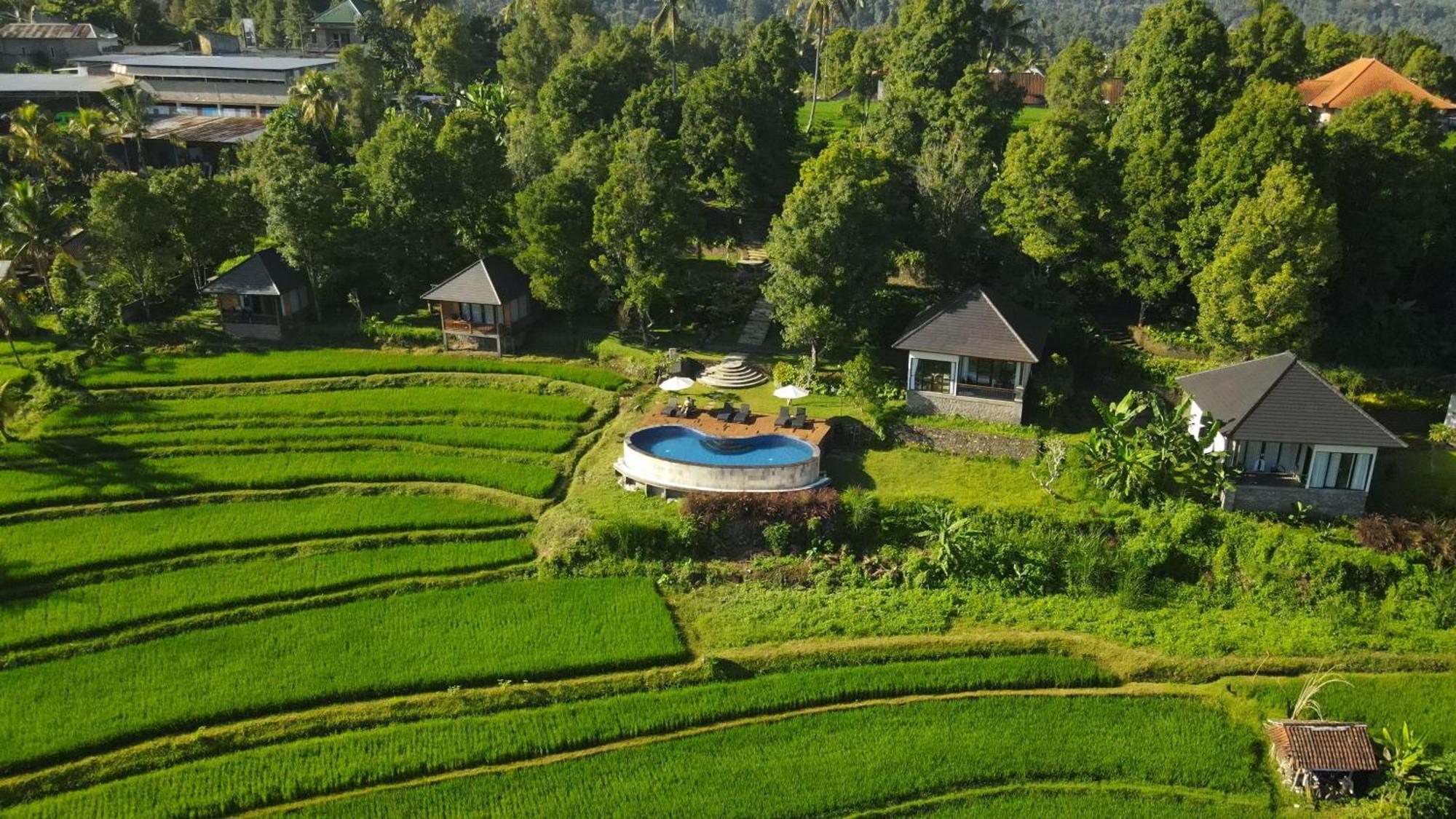 Mayura Bali Villa Munduk Eksteriør billede