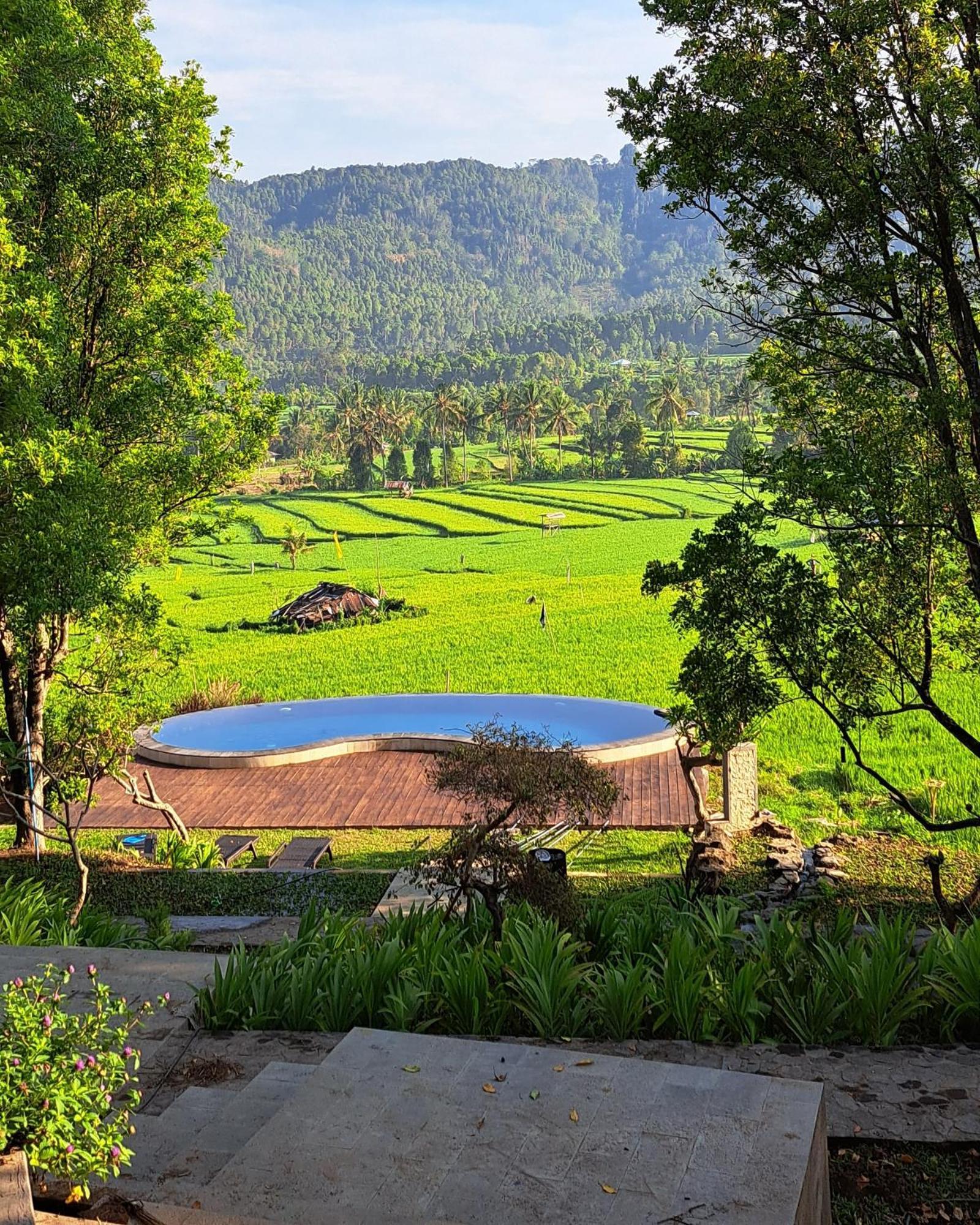Mayura Bali Villa Munduk Eksteriør billede
