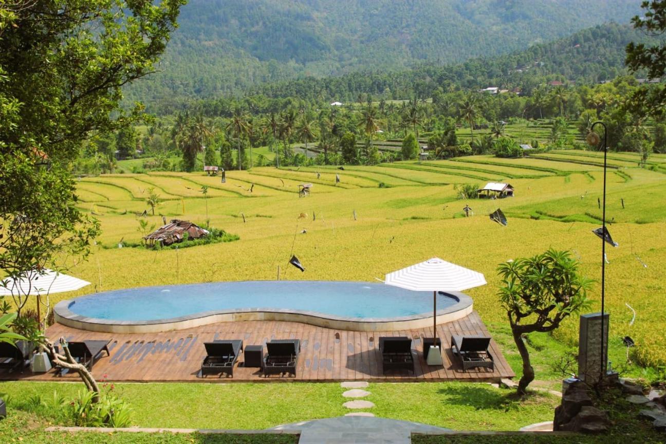 Mayura Bali Villa Munduk Eksteriør billede