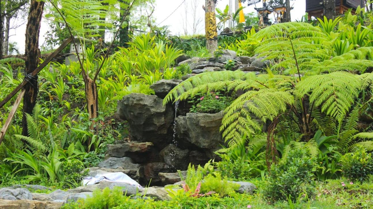 Mayura Bali Villa Munduk Eksteriør billede