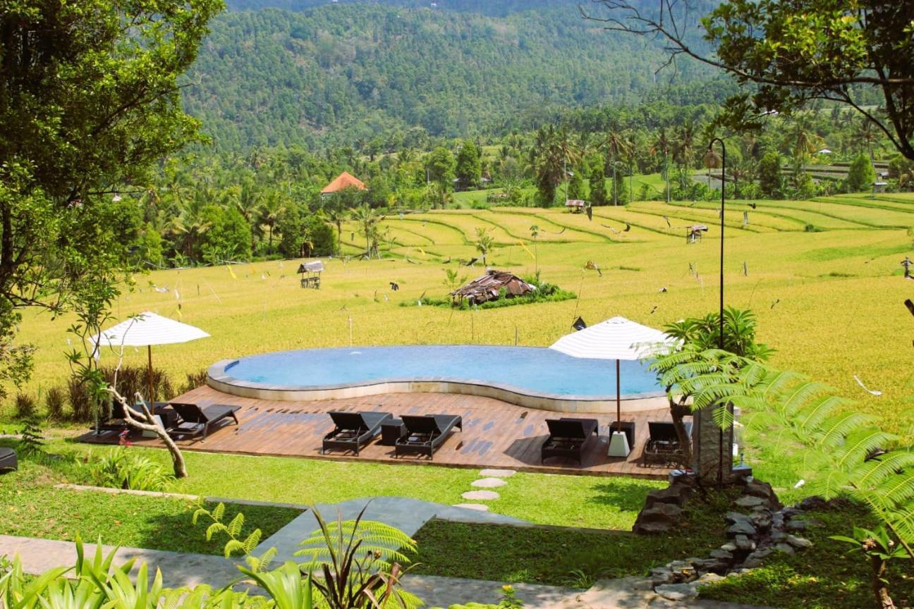 Mayura Bali Villa Munduk Eksteriør billede