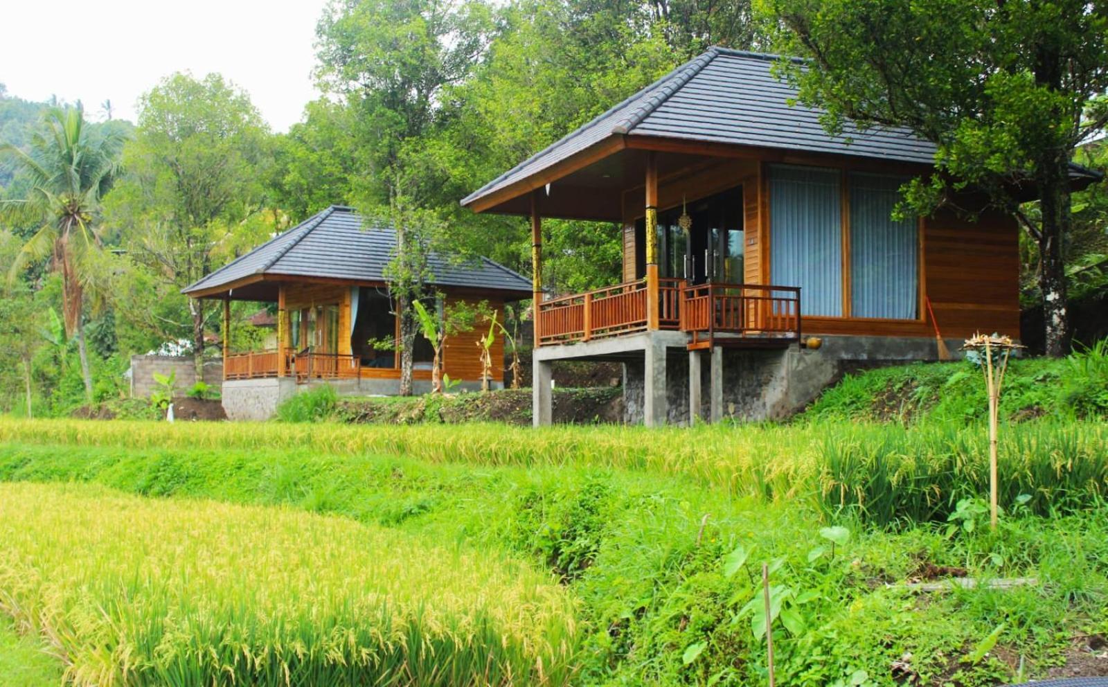 Mayura Bali Villa Munduk Eksteriør billede
